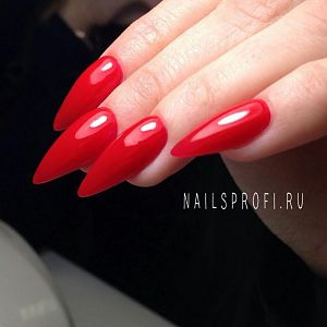 Наращивание ногтей акрилом в студиях "NailsProfi"
www.nailsprofi.ru